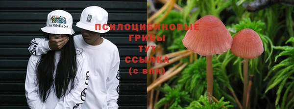 каннабис Вяземский