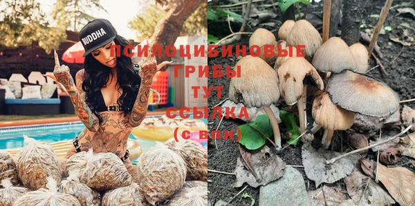 ALPHA PVP Вязники